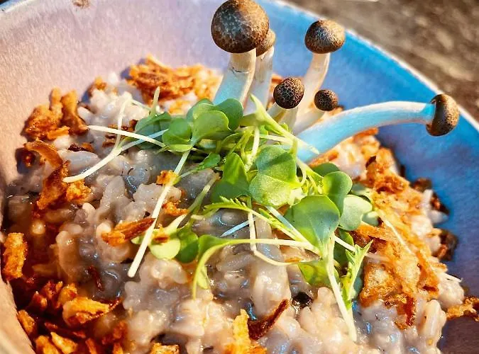 Pate'o & אכסניה