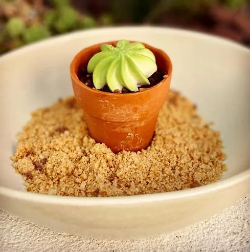 Pate'o & אכסניה