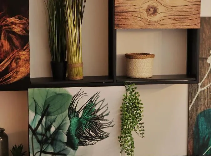 Pate'o & אכסניה אובאר